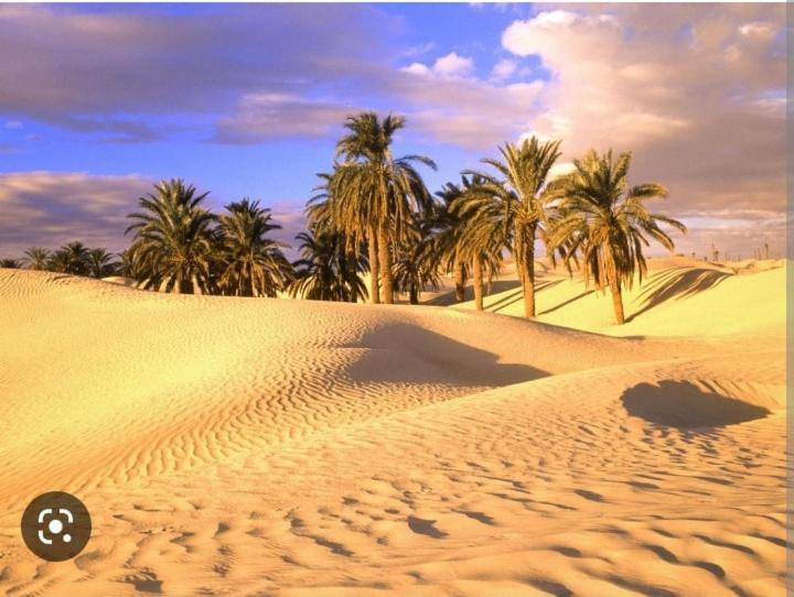 מרקש Riad Sable Chaud מראה חיצוני תמונה