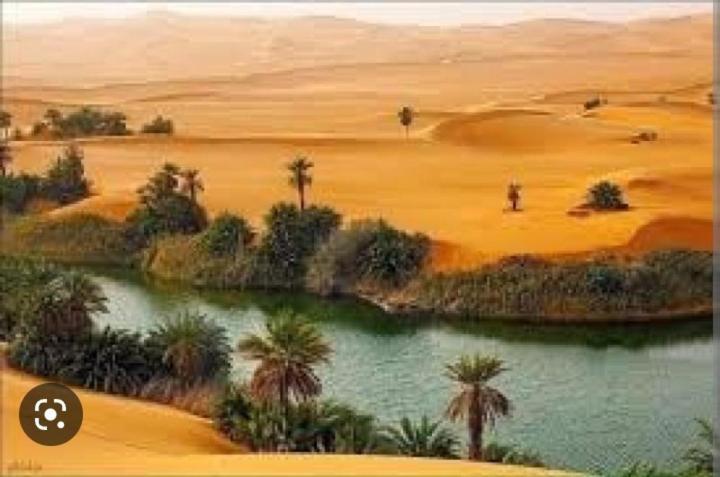 מרקש Riad Sable Chaud מראה חיצוני תמונה